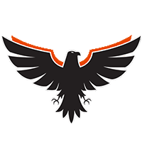 Vyorius Drones logo — Vyorius Drones internships & jobs in India